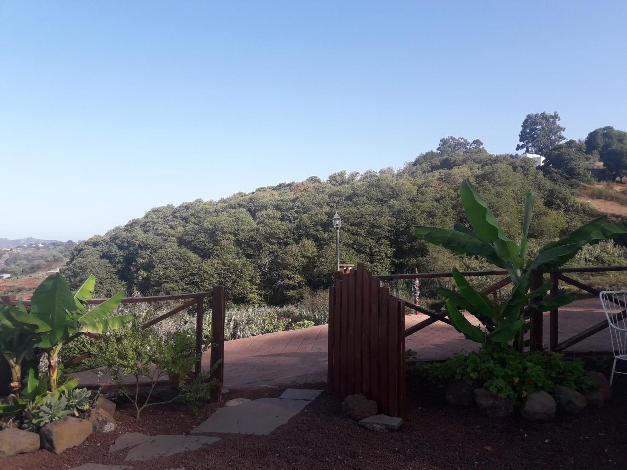 Finca Naturacanaria Moya  Extérieur photo