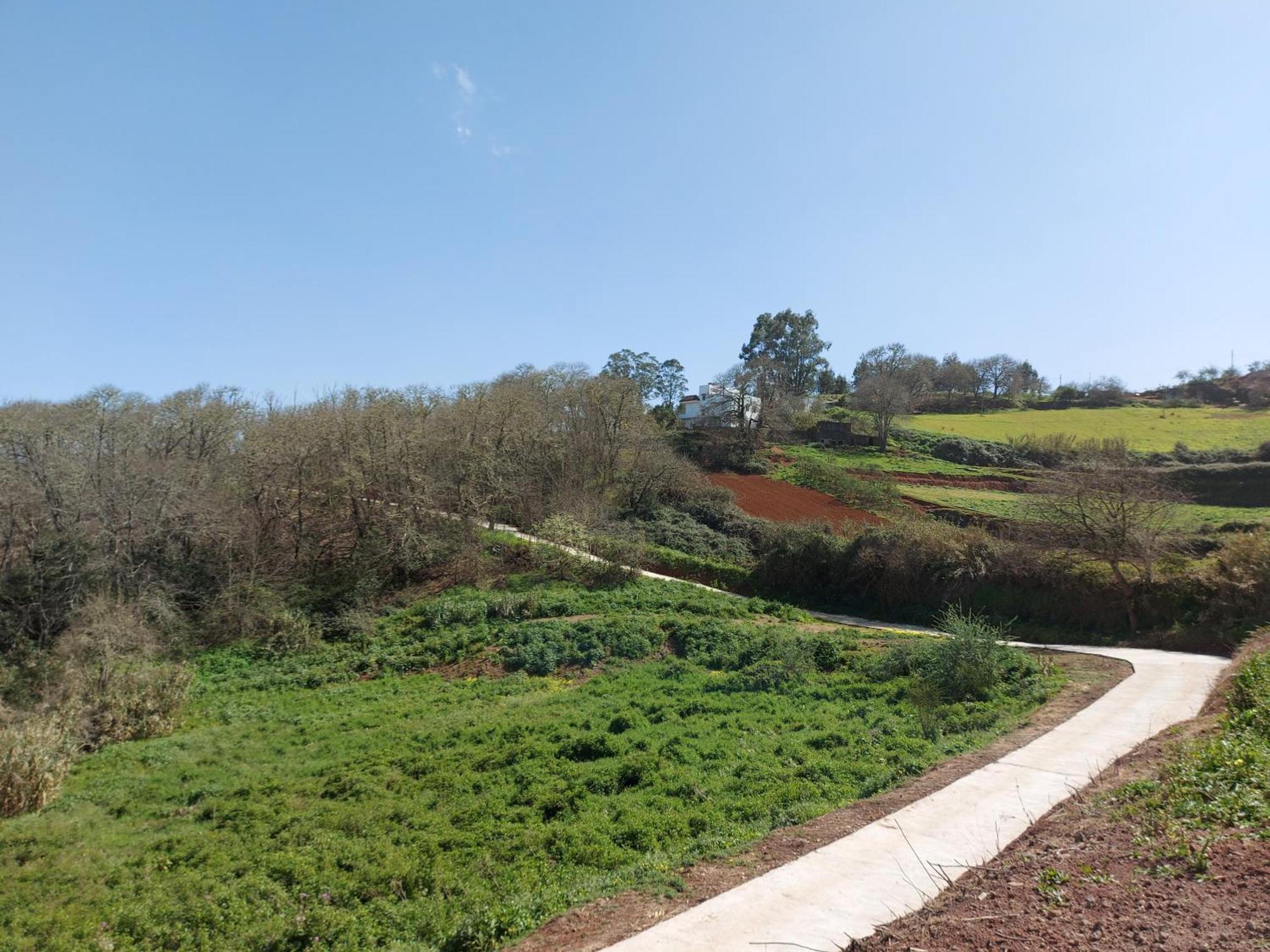 Finca Naturacanaria Moya  Extérieur photo