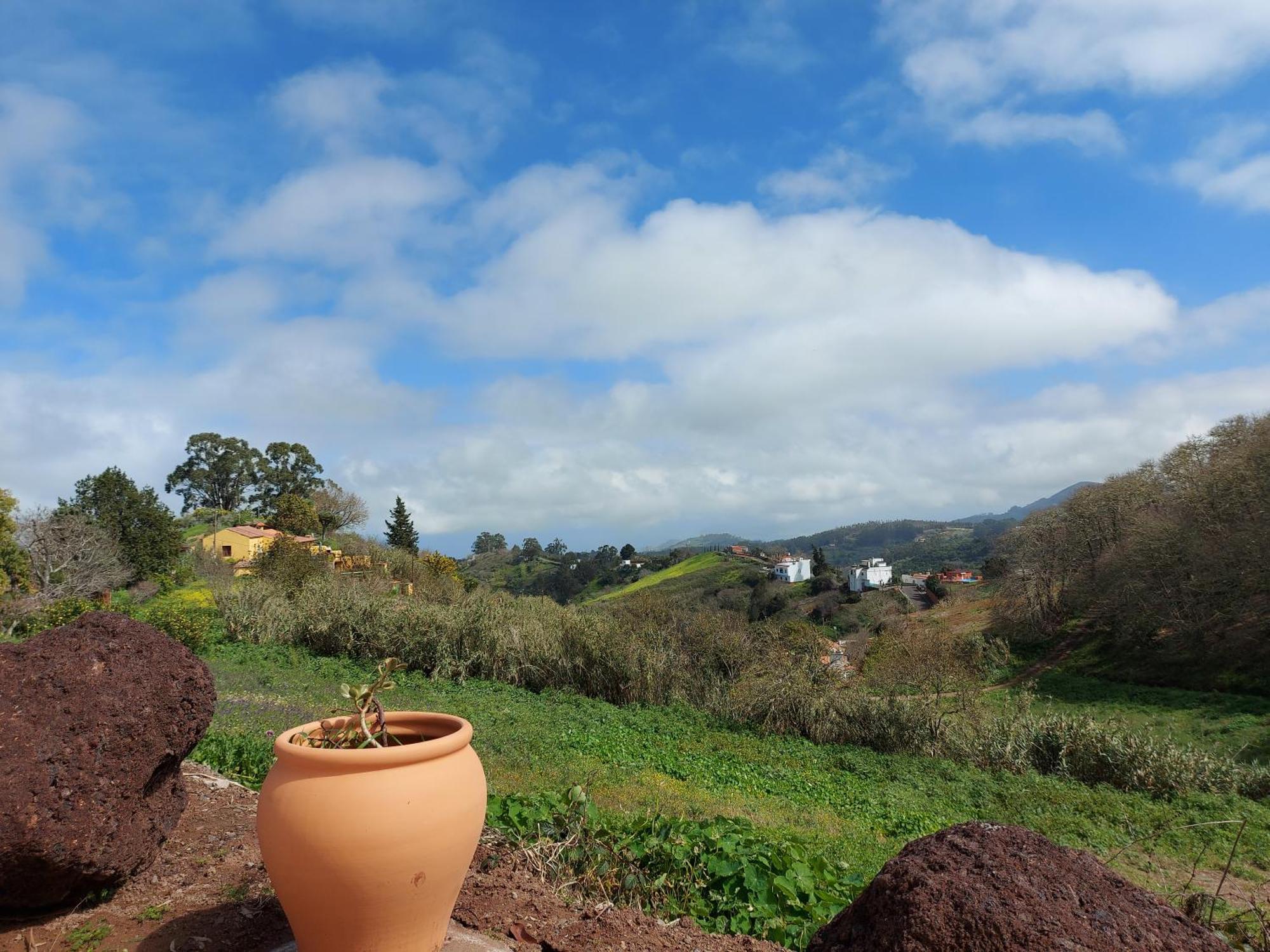 Finca Naturacanaria Moya  Extérieur photo